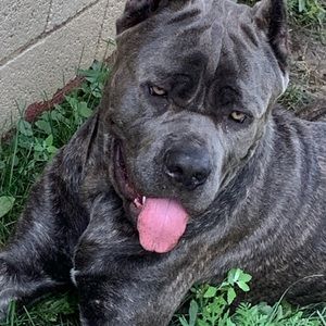 Meet your Posher, Nina